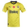 Officiële Voetbalshirt Fenerbahce Uit 2023-24 - Heren